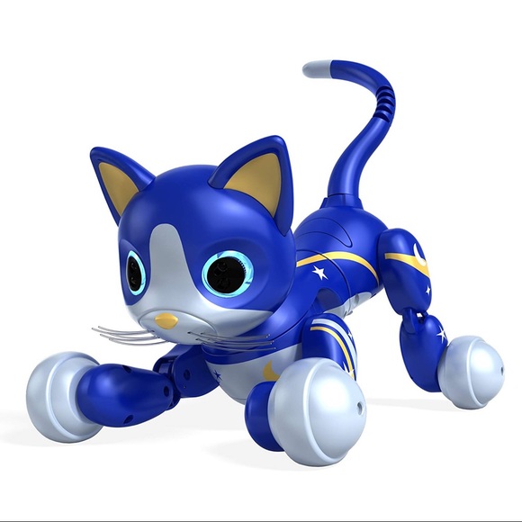 zoomer kitty
